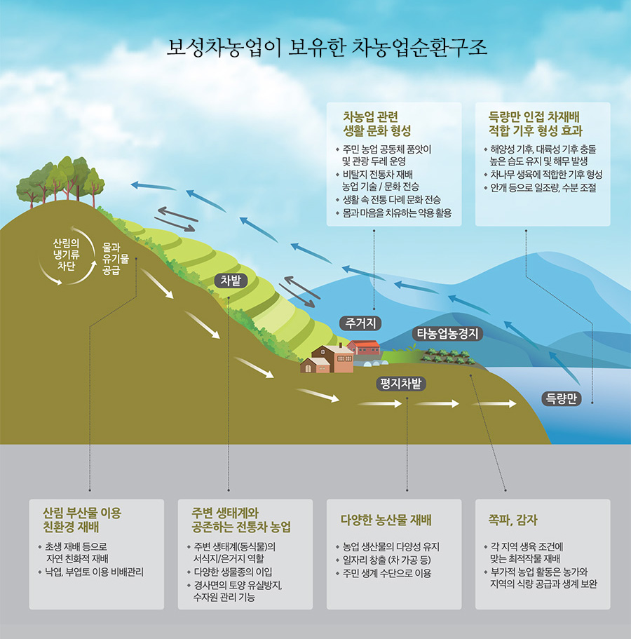 보성차농업이 보유한 차농업순환구조 