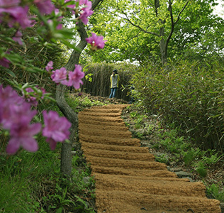 꽃이핀 정상계단 모습